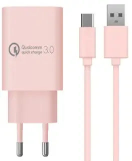 홈플래닛 퀄컴 공식인증 QC 3.0 18W 고속충전기 + C타입 케이블 1.2m 세트, 핑크, 1세트